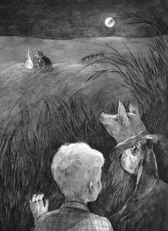 Иллюстрация Маши Судовых из книги «Тонкий мечь» предоставлено издательством «Манн, Иванов и Фербер».