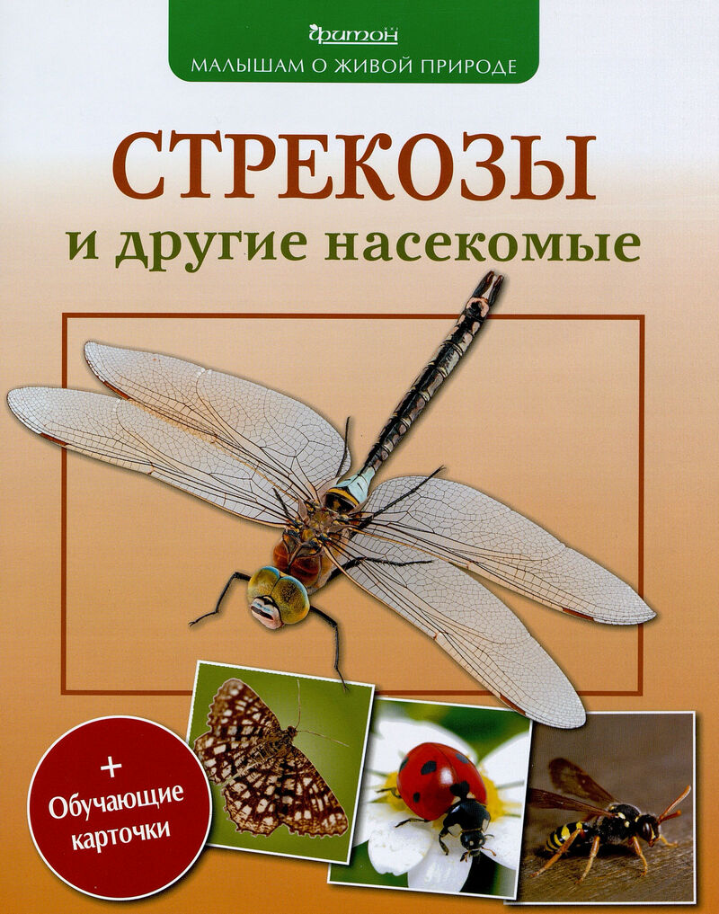 Волцит, П. Стрекозы и другие насекомые