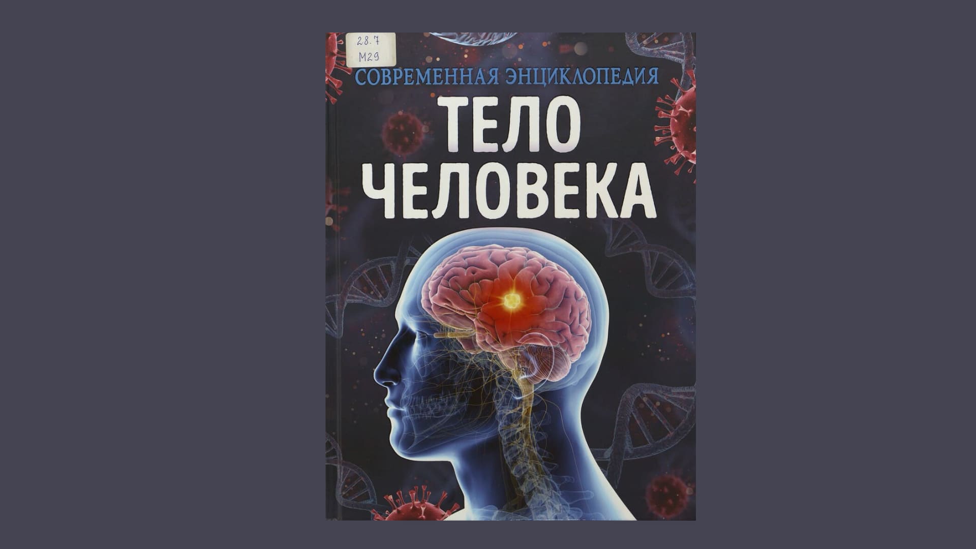 Клаудия Мартин. Тело человека