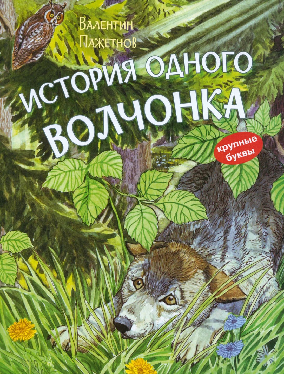 Валентин Пажетнов. История одного волчонка