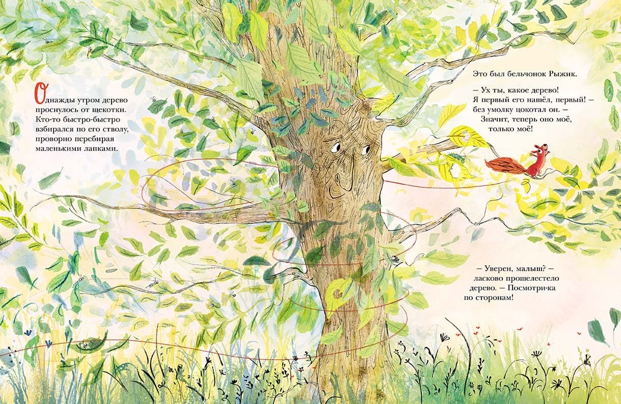 Джессика Мезерв. Дерево для Рыжика