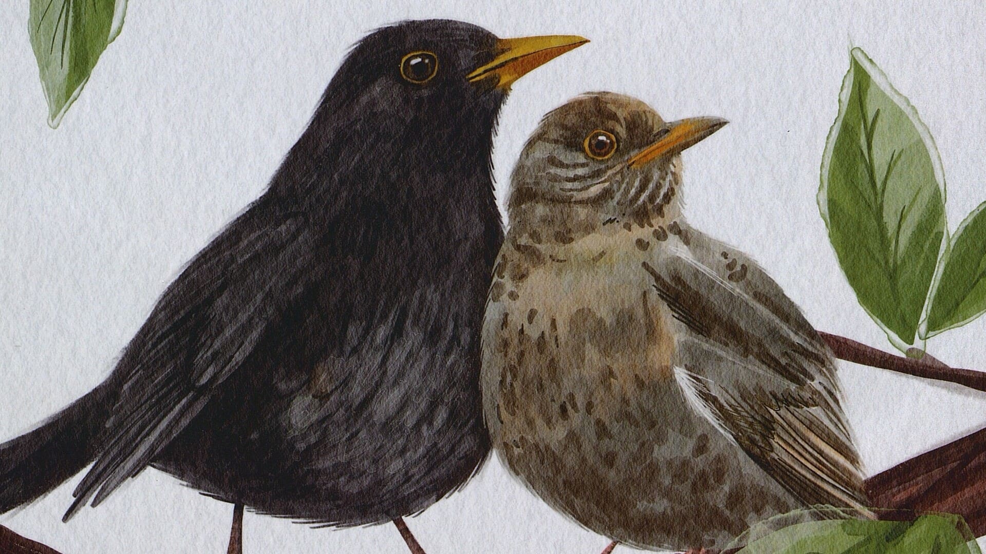 Виталий Симуткин. Дрозды