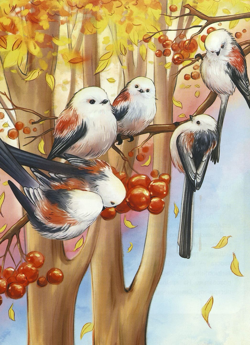 Евгения Гармс. Птичий блог, или Когда твой папа – орнитолог