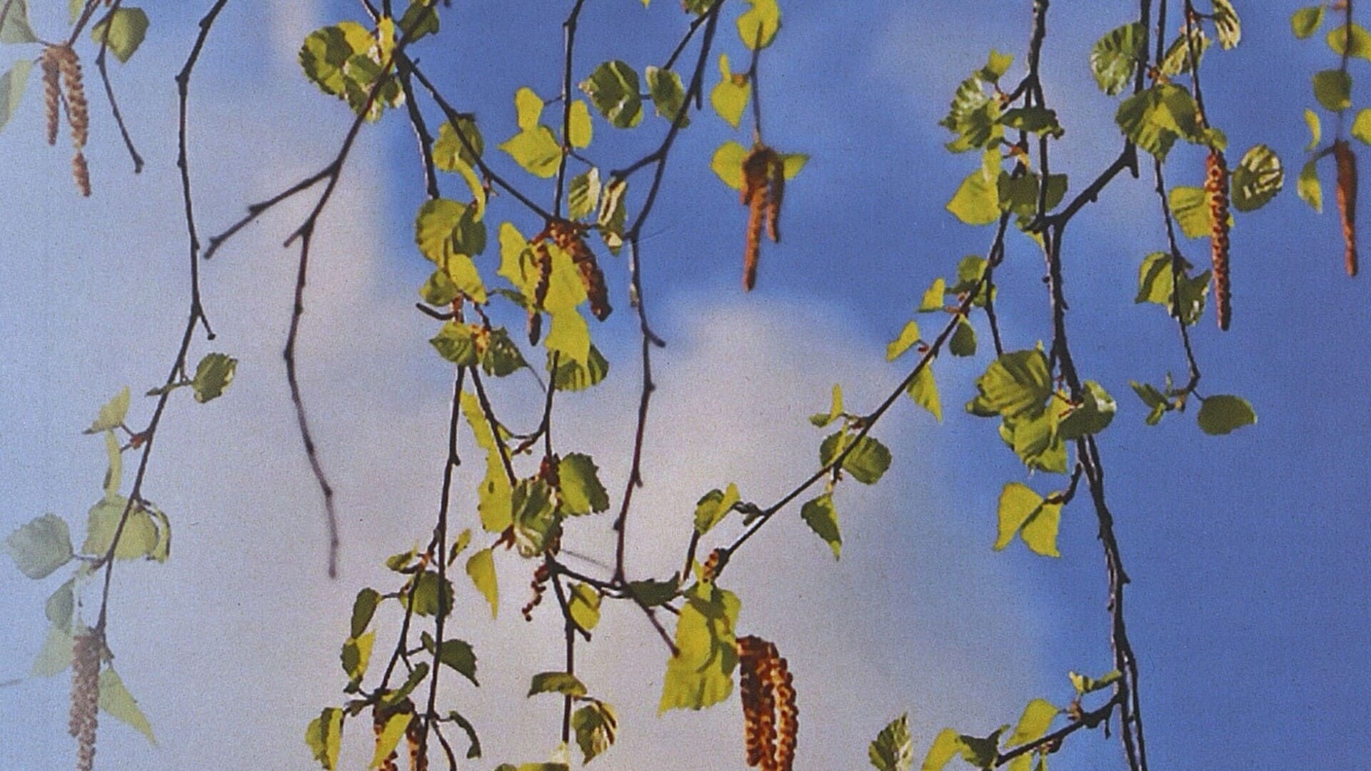 Артёмова Ольга, Артёмова Наталья. Весенняя тетрадь