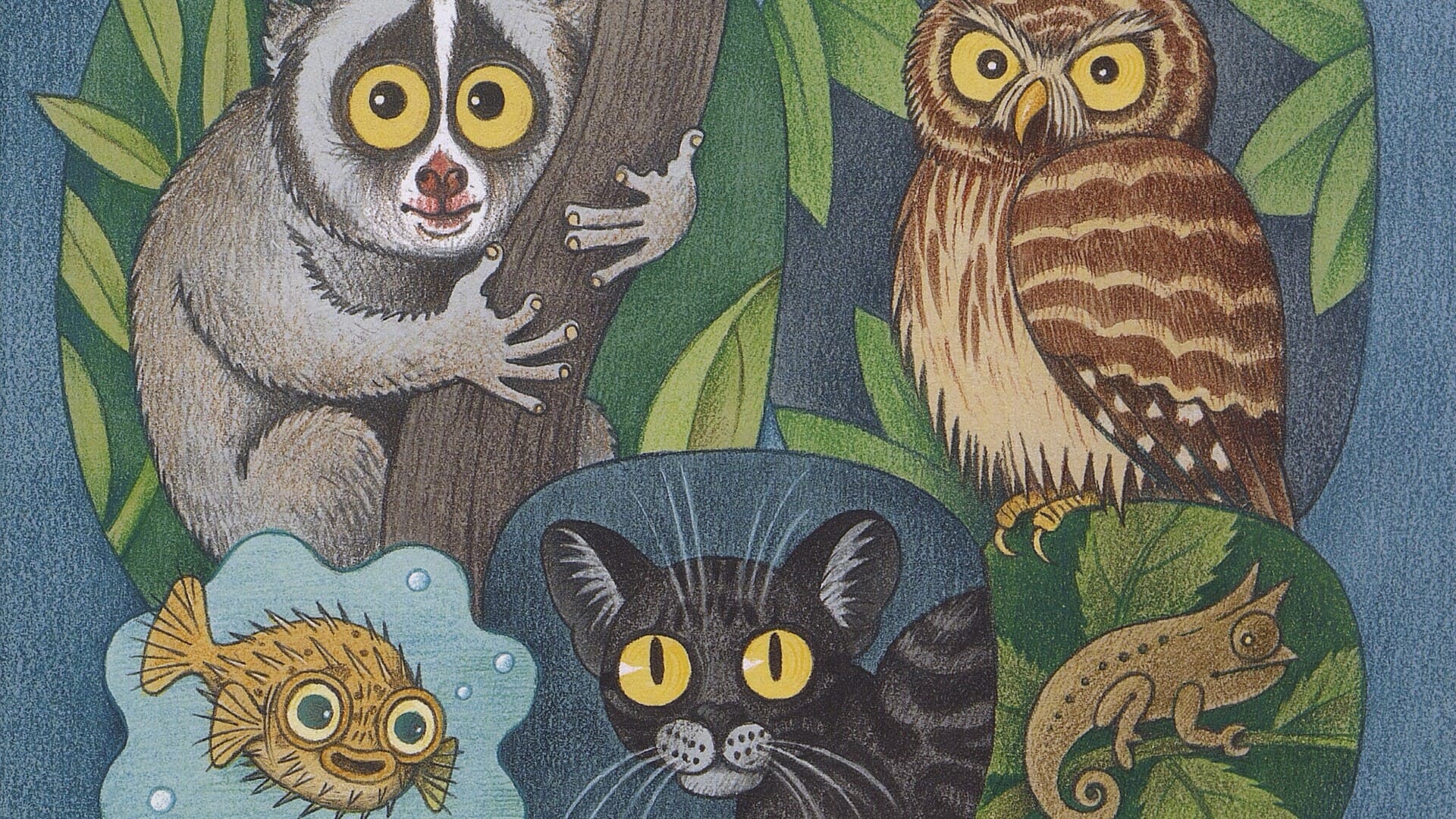 Лена Анлауф. Гениальные глаза. Собрание причудливых животных