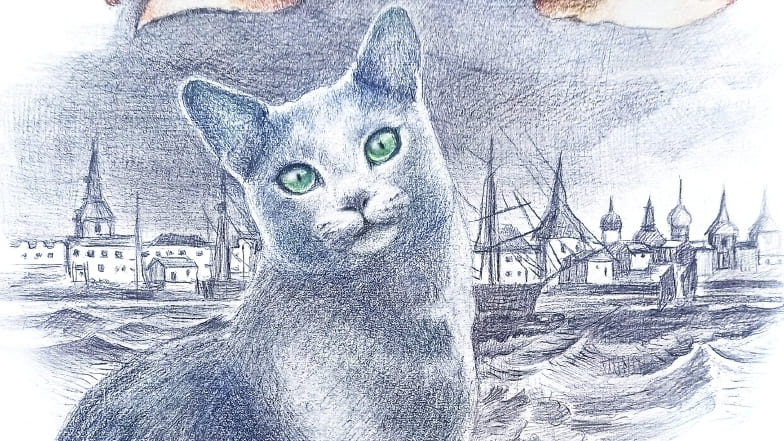 Денис Макурин. Жил-был город у Белого моря